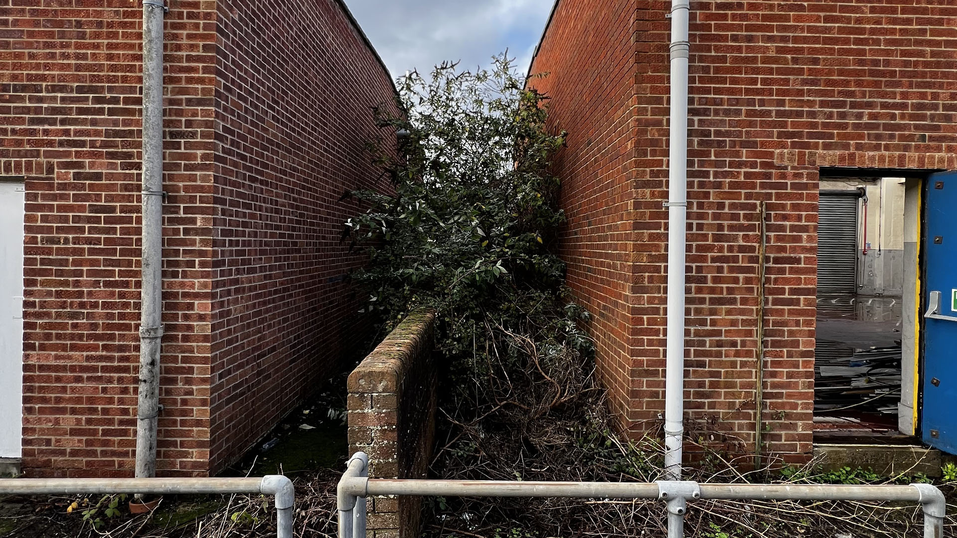 Who Should You Contact First — The Council, a Surveyor, or Your Neighbour Blackburn?